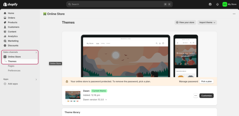 shopify theme